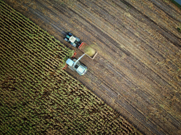 How To Qualify for an Agricultural Loan: A Comprehensive Guide