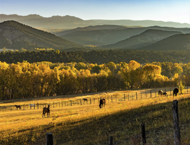 Considerations When Buying a Ranch